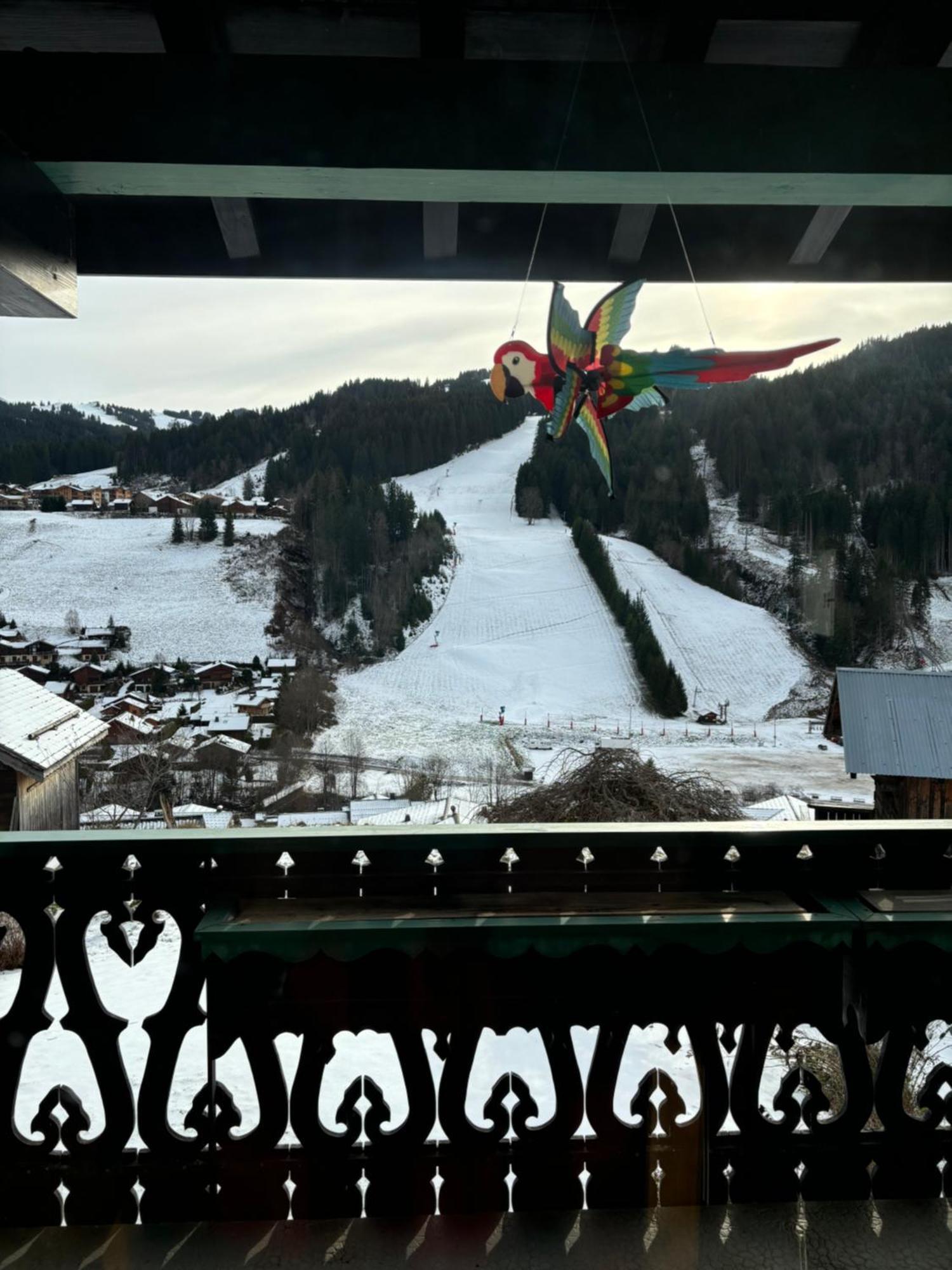 Chalet Fleur Des Alpes Les Gets Εξωτερικό φωτογραφία